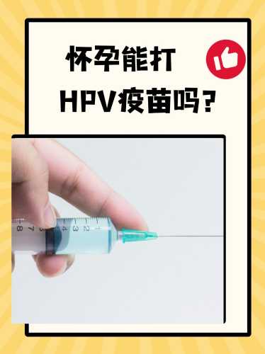 女性备孕中能否打疫苗-第1张图片