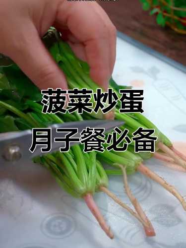 月子里产妇能吃菠菜吗-第1张图片