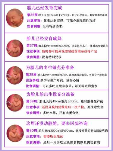 孕十四周怎么胎教才有效-第1张图片