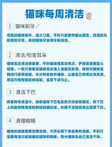 猫产后如何进行清理工作-第1张图片