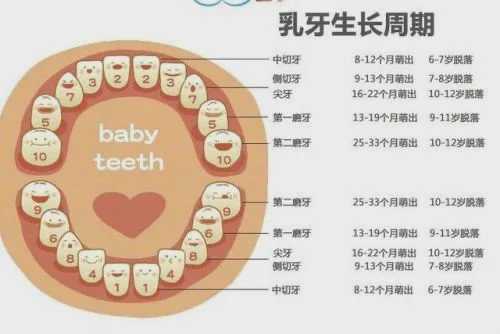 婴儿几岁开始能准确认人-第1张图片