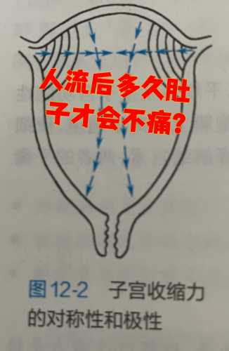 自然流产后一直怀不上咋回事-第1张图片