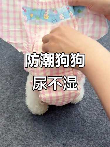 狗狗穿纸尿裤怎么拉屎-第1张图片