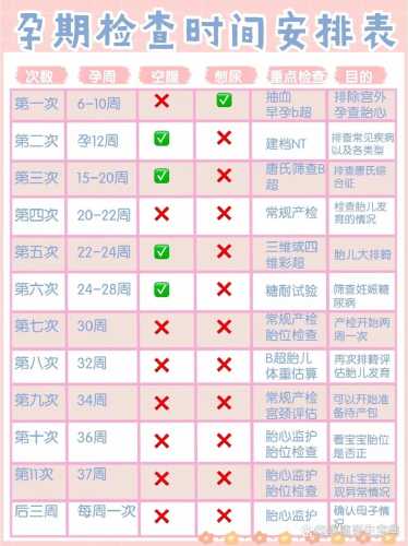 备孕一天该如何计划安排-第1张图片