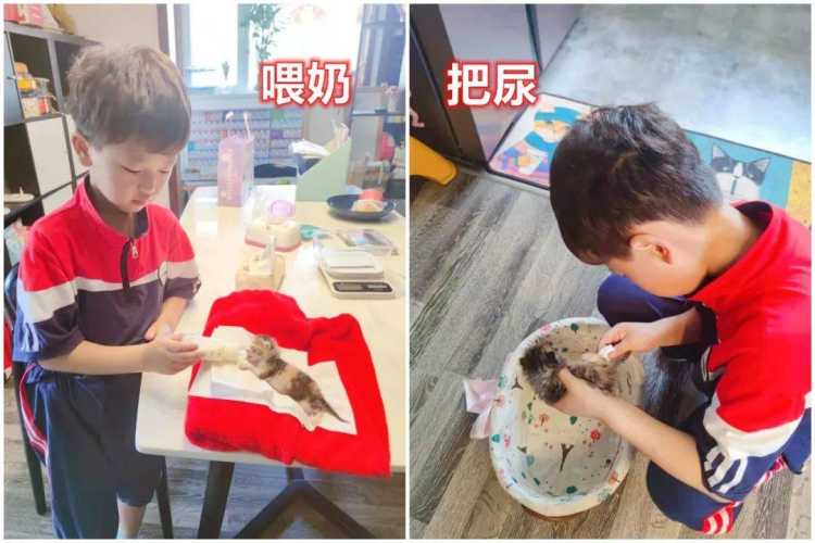 婴儿多大适合把屎把尿-第1张图片
