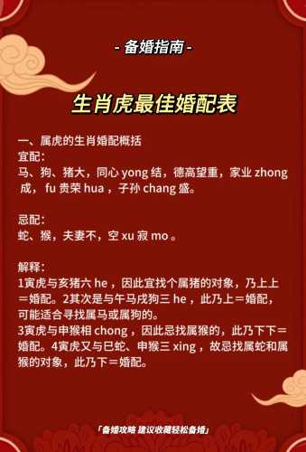 备孕时老公为啥梦见老虎-第1张图片