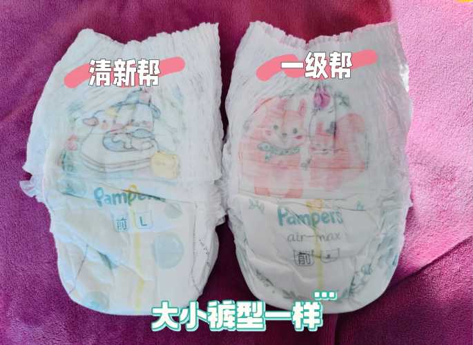 山茶花拉拉裤和小企鹅啥关系-第1张图片