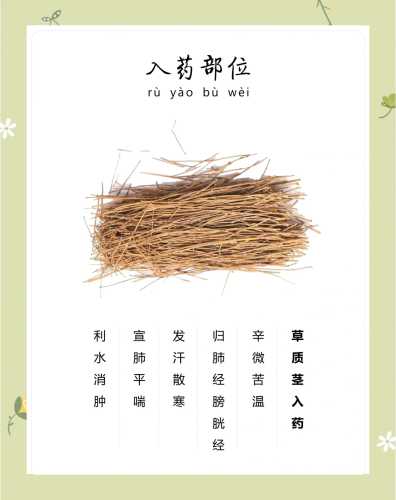 备孕能吃含麻黄的药吗-第1张图片