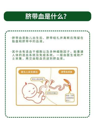 新生儿脐带血有何利用价值 新生儿脐带血能存吗有啥用-第1张图片