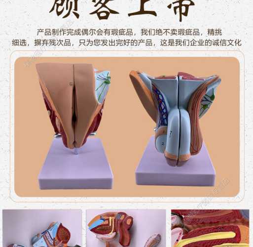 婴儿生殖器官如何正确关注-第1张图片