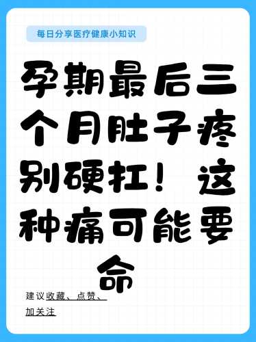 孕反不吃饭也不饿怎么办-第1张图片