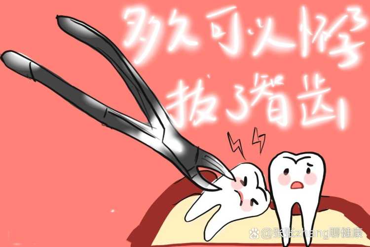 备孕是不是都要拔智齿-第1张图片