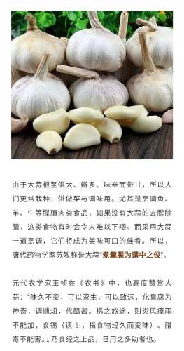 孕反吃大蒜真的有效吗-第1张图片