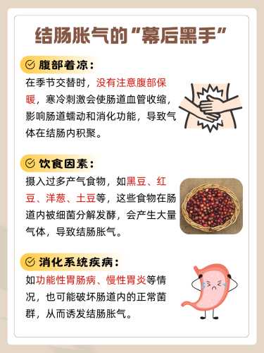 备孕排卵期喝酒致胃胀气咋办-第1张图片