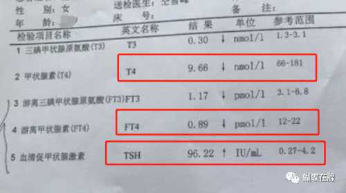 甲减备孕男性可饮酒吗-第1张图片
