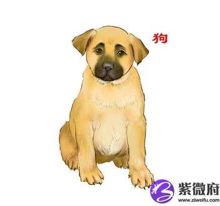 狗年剖腹产何时辰好-第1张图片