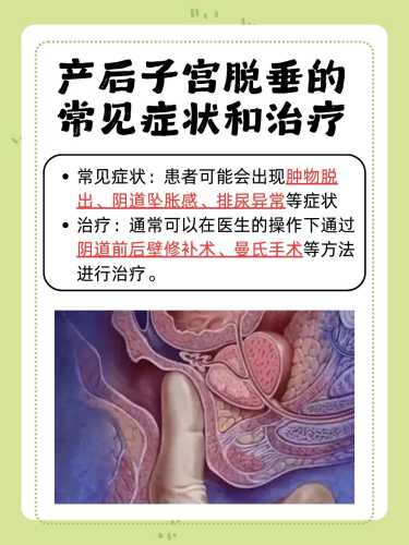 产后宫颈图是什么样的-第1张图片