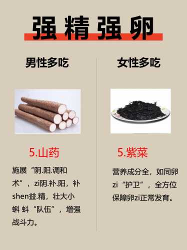 备孕男士吃什么补身体-第1张图片