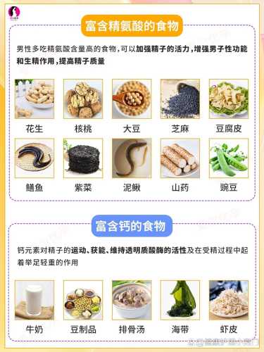 男士备孕维E吃多少合适-第1张图片