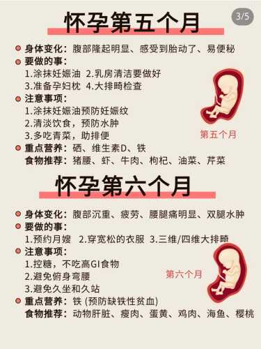 怀孕初期嗜睡正常吗-第1张图片
