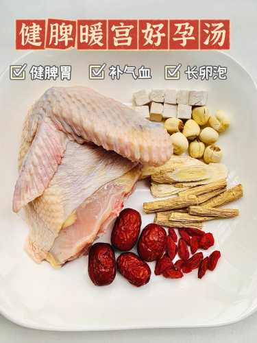 备孕能喝乌珍粉吗-第1张图片