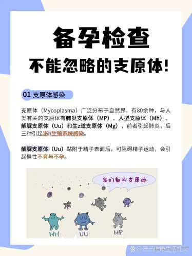 备孕验支原体需空腹吗-第1张图片