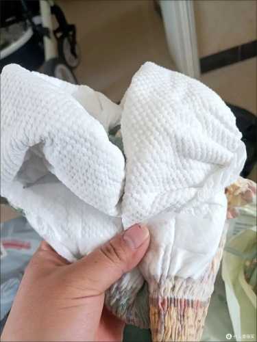 盛夏光年拉拉裤全系列如何-第1张图片