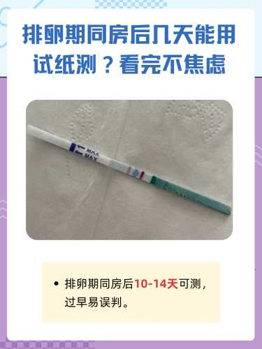 同房后7天试纸能测孕吗-第1张图片