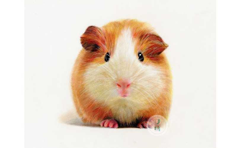 婴儿彩铅适合多大宝宝用-第1张图片