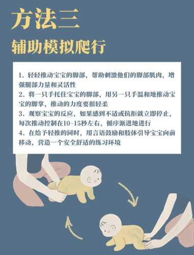 新生儿怎么开始练习爬-第1张图片