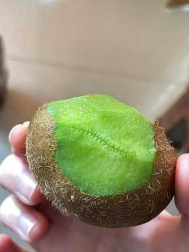 婴儿能不能吃猕猴桃-第1张图片