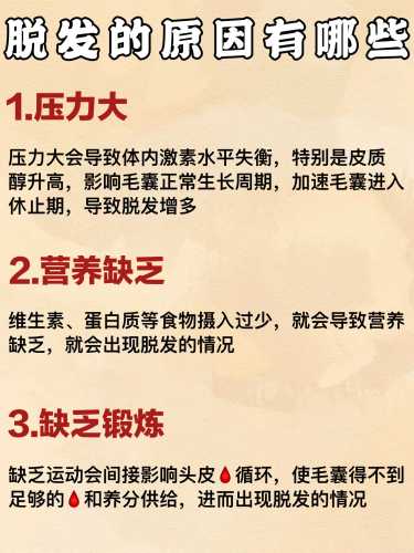 产后吃什么防脱发-第1张图片