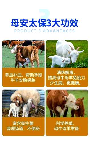 母牛产后胎衣如何处理-第1张图片