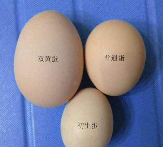 备孕男人梦到蛇生蛋啥寓意-第1张图片