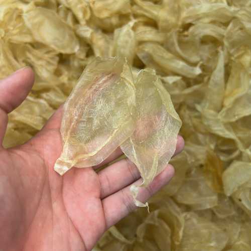 备孕需要天天吃鱼胶吗-第1张图片