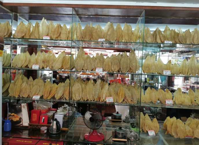 坐月子可以吃花胶吗-第1张图片