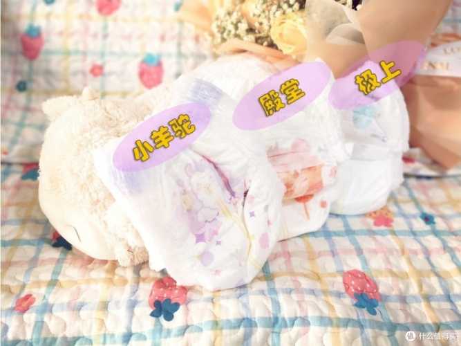 小羊驼拉拉裤有啥特别之处-第1张图片
