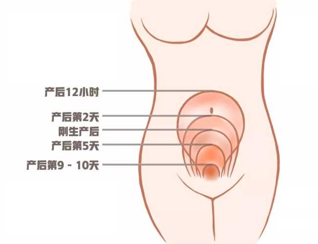 产后维权如何做-第1张图片