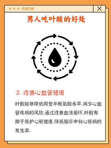 男备孕吃啥叶酸药效果好-第1张图片