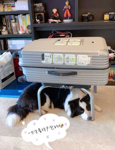 水城待产包怎么准备-第1张图片