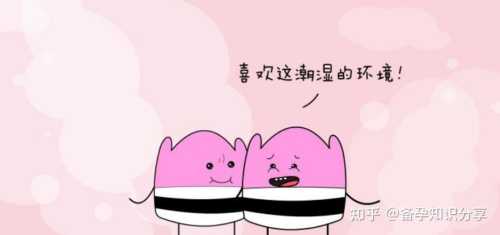 罗汉果会影响备孕吗-第1张图片