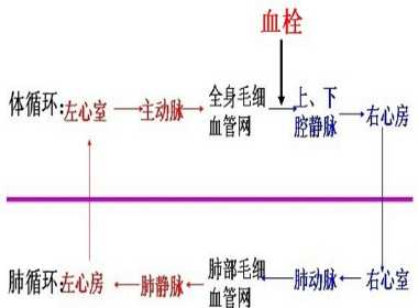 顺产后为何会出现血栓-第1张图片