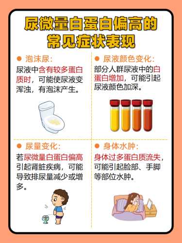 男性备孕需吃蛋白粉吗-第1张图片