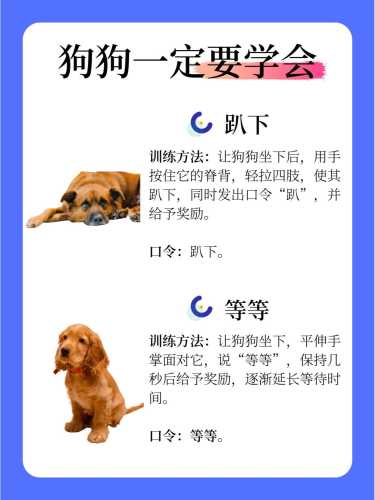 如何让狗产后恢复快好-第1张图片