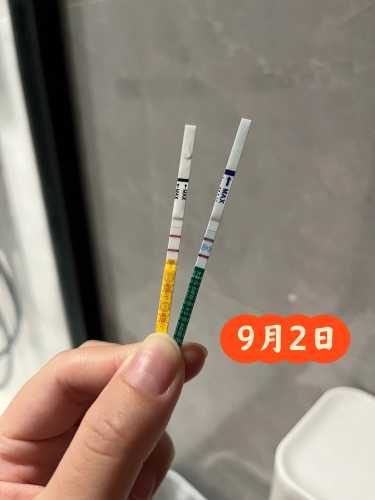 怀孕几周试纸能测出来-第1张图片