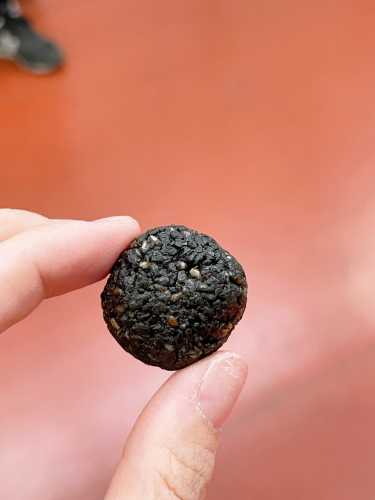 备孕能不能吃黑芝麻丸-第1张图片