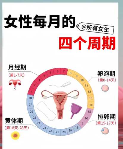 产后八十天来月经正常吗-第1张图片