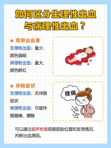 采血能不能查出是否怀孕-第1张图片
