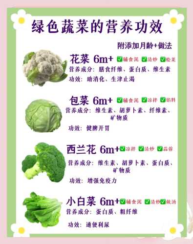 辅食有什么种类和选择-第1张图片