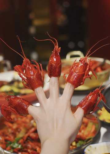 月子恶霸为何如此横行-第1张图片